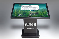 麻大湖水底世界